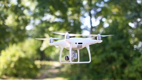 Drone flying over forest Stock Footage 80080121