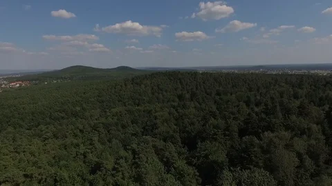 Drone flying over the forest Stock Footage 82617271