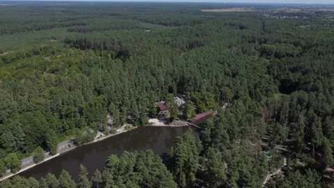 Drone flying over the forest. Stock Footage 221653756