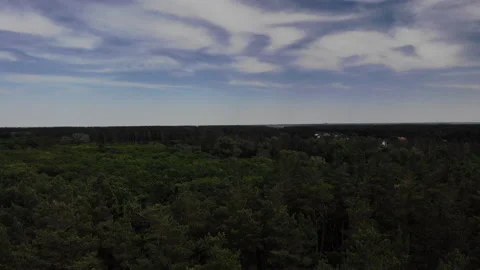 Drone flying over the forest Stock Footage 233737206