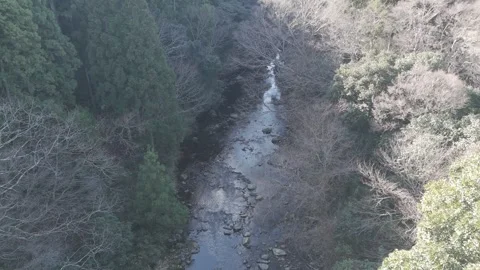 Drone Flying Over Forest River with Downward Angle View – 4K Nature Footage Stock Footage 325408573