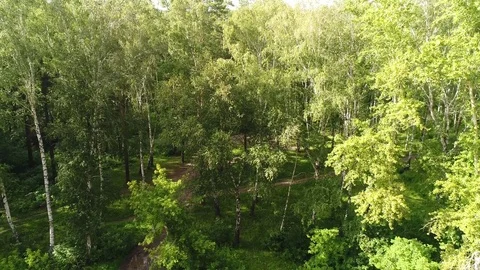 The drone is flying over the forest. View from above.4k UHD Vidéo 78367706