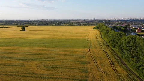 The drone is flying over the forest. View from above.FHD Vidéo 113817585