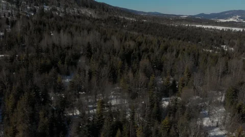 Drone flying over the forest on a winter frosty day overlooking the blue sky Stock Footage 149730110