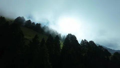 Drone flying over forests, Mist, Upwards, Sunlight mystical Video stock 251991832