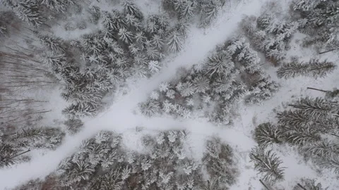 Drone flying over forrest while it´s snowing in the winter 3 스톡 동영상 146758558