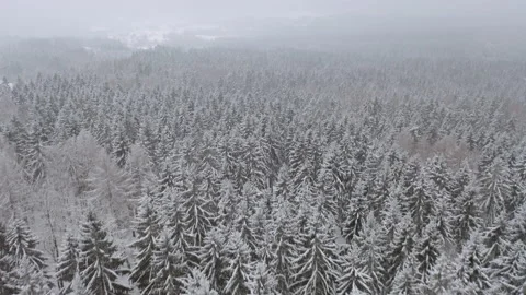 Drone flying over forrest while it´s snowing in the winter 4 Video stock 146760971