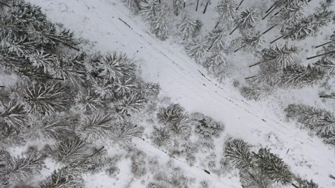 Drone flying over forrest while it´s snowing in the winter Stock Footage 146761016