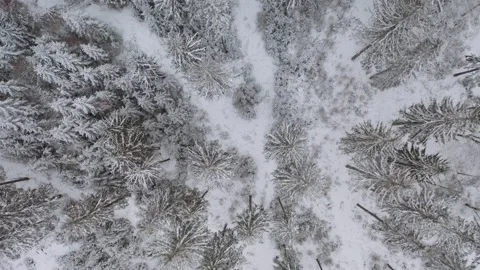 Drone flying over forrest while it´s snowing in the winter 2 스톡 동영상 146764927