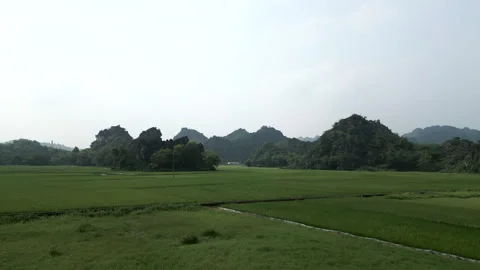 Drone flying over the green crop fields among the forested mountains of Hanoi Stock Footage 276664853