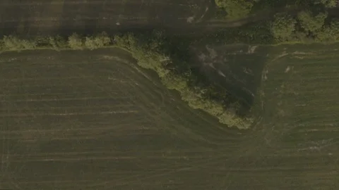 Drone flying over a green field with trees in the summer Stock Footage