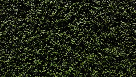 Drone flying over green field with blue clear sky on background. Beautiful natur Stock Footage 138020971