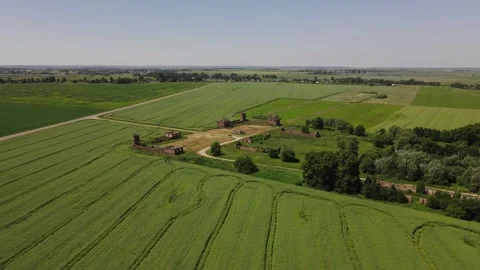 Drone is flying over the green field Vídeos de archivo 158604732