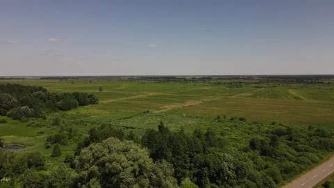 Drone is flying over the green field Vídeos de archivo 240753796