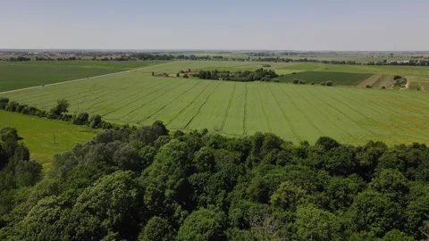 Drone is flying over the green field Stock Footage 240939404