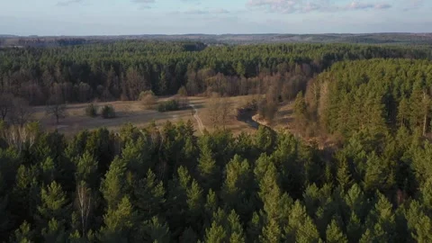 Drone flying over green forest and small winding river Stock Footage 333837765