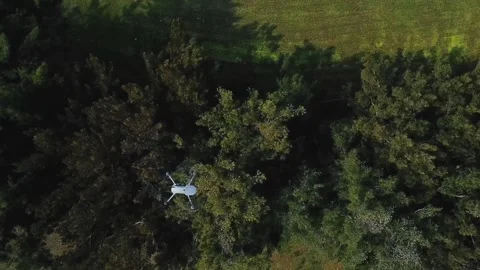 Drone flying over green forest aerial view Stock Footage 339591730