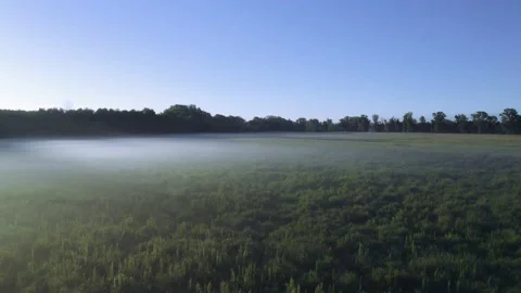 A drone flying over a green grass meadow at dawn. Stockbeeldmateriaal 141761262