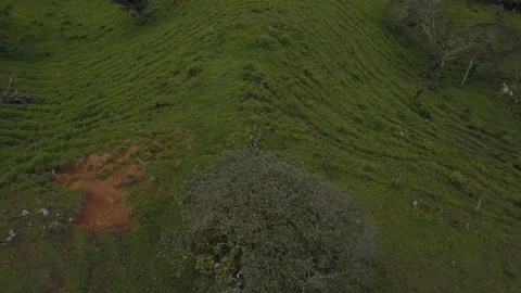 Drone Flying Over the Green Mountains of Monteverde in Costa Rica in 4K Stock Footage 93852700