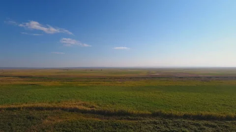 Drone flying over green reeds. Stock Footage
