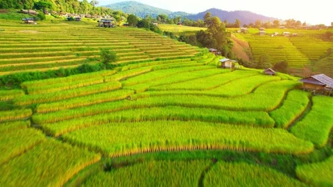Drone flying over green rice terraces field in countryside Stock Footage 220463529