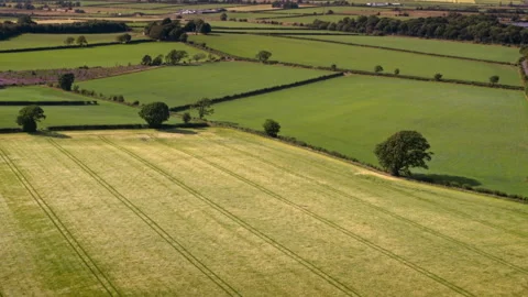 Drone flying over green rural countryside fields Video stock 336792032