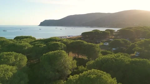 Drone Flying Over Green Trees Toward the Sea Revealing Lacona Beach with Um.. Stock Footage 326471235