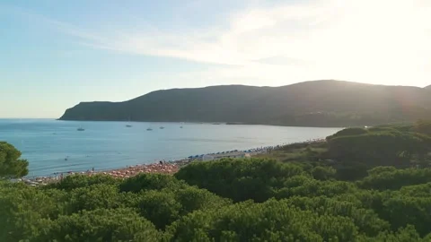 Drone Flying Over Green Trees Toward the Sea Revealing Lacona Beach with Um.. Stock Footage 326471237