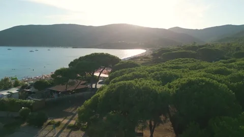 Drone Flying Over Green Trees Toward the Sea Revealing Lacona Beach with Um.. Video stock 326473678
