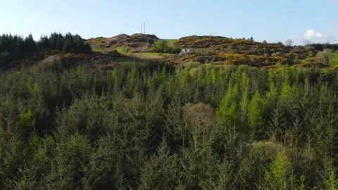 Drone flying over green treetops in the forest, Ireland Stock Footage 267077229
