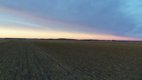 Drone Flying Over Harvested Fields As Sun Sets Stock Footage 229172298