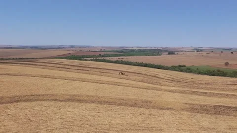 Drone Flying Over Harvester Working in Rural Farmland Stock Footage 321568845