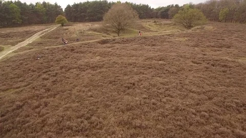 Drone flying over heath and people towards forest in The Netherlands Video stock 75353084
