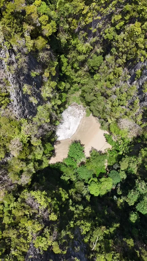 Drone Flying Over Hidden Tropical Beach and Lush Forest in Ko Mook, Ko Muk, Stock Footage 336009629