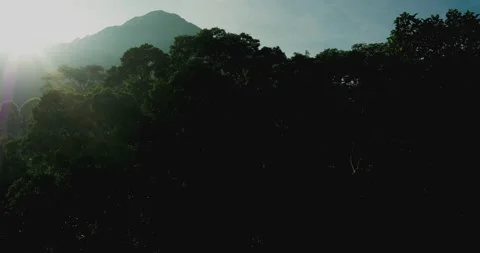 Drone flying over jungle mountains with soft sunlight and atmospheric haze Stock Footage 333308016