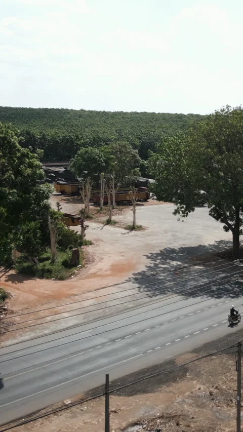 Drone flying over a large bonsai plantation near the road in Vietnam Video stock 280145514