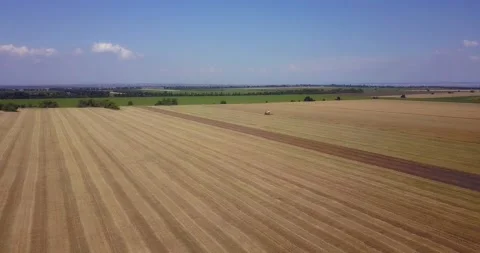 Drone flying over large fields with a working combine in the summer Stock Footage 134451964