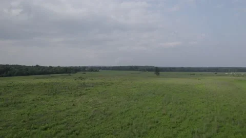 Drone flying over large open green field 스톡 동영상 160072295