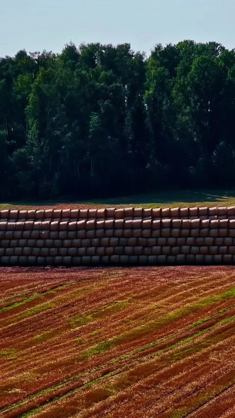 Drone flying over a large stack of hay bales and a harvested agricultural field Stock Footage 339754425
