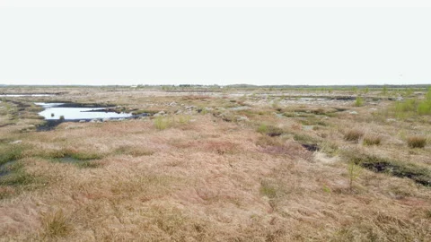 Drone Flying Over Mans Head Then Over Peat Bog, 4K 動画素材 220105750