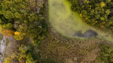 Drone flying over the marsh in the park 스톡 동영상 68633163