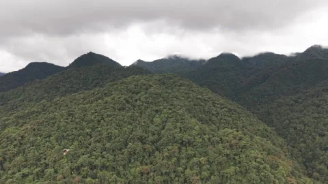 Drone Flying Over Mountain Covered in Cloud Forest Stock Footage 343419748