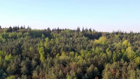 Drone flying over a mountain filled with trees in The Netherlands. Stock Footage 106801077