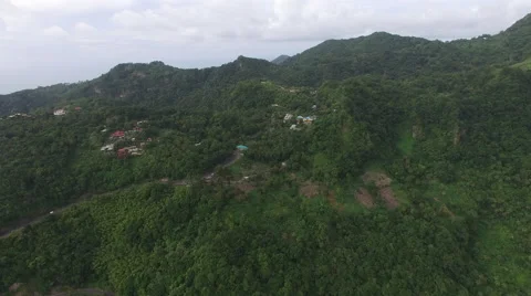 Drone Flying over the mountain forests in St Lucia Stock Footage 63453057