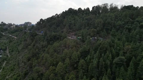 Drone Flying Over Mountain Pine Trees in Cloudy Weather Video stock 313382852