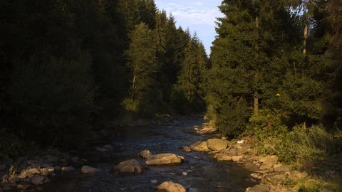 Drone flying over a mountain stream among trees 4k HDR H264 Stock Footage 88323664