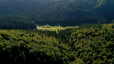 Drone Flying Over Mountain Summer Aerial View of Beautiful Green Pine Forest Vídeo Stock 127626196