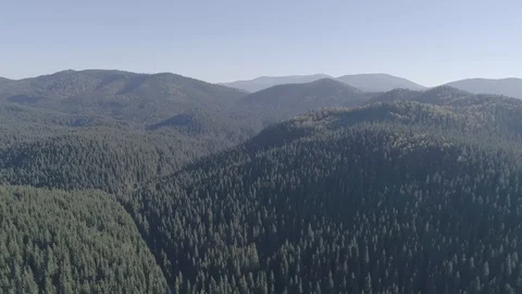 Drone Flying Over Mountain Summer Aerial View of Beautiful Green Pine Forest Vídeo Stock 127626329