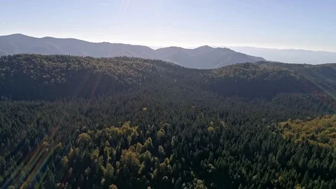 Drone Flying Over Mountain on Sunny Day Aerial View Beautiful Green Pine Forest Stock Footage 127625886