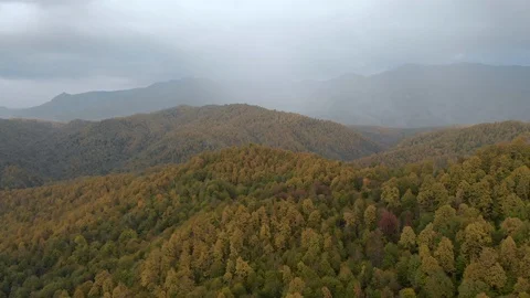 Drone flying over the mountains covered with colored forest in the autumn Stock Footage 119868271